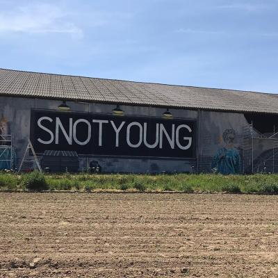 Snotyoung Niftrik 12