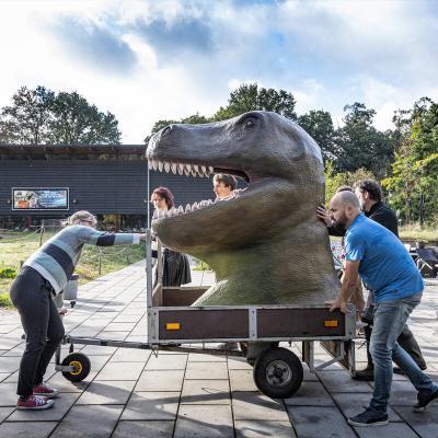 Oertijdmuseum-T-Rex-Koppen-31