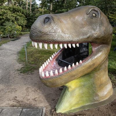 Oertijdmuseum-T-Rex-Koppen-32