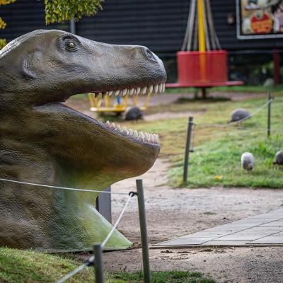 Oertijdmuseum-T-Rex-Koppen-33